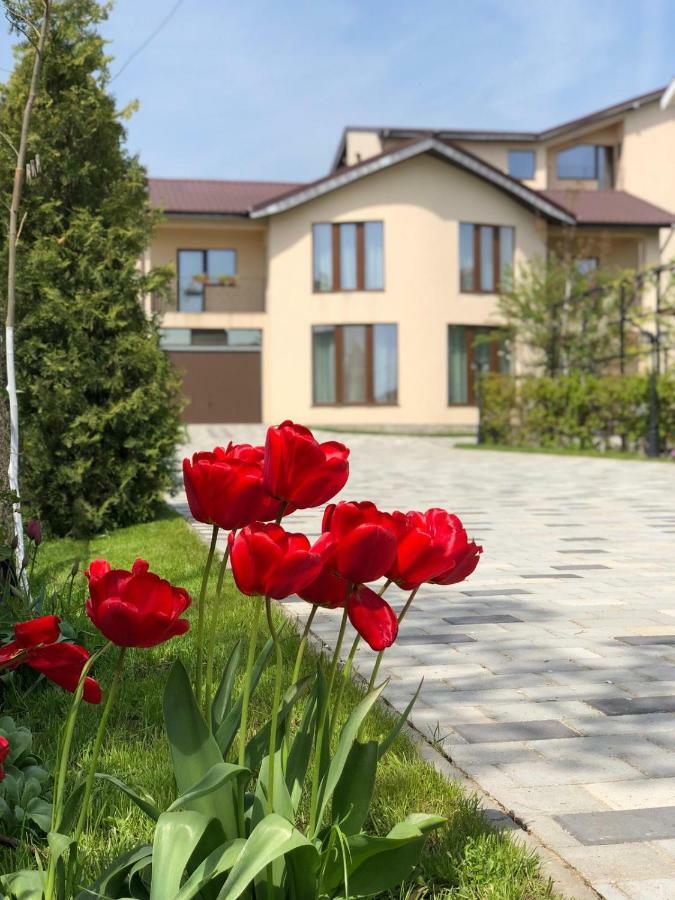 Eden Blue Costinesti Exterior foto